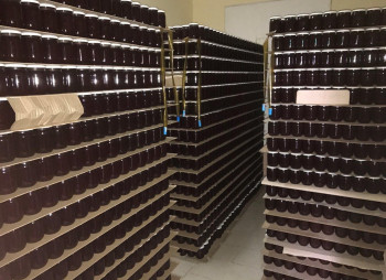 Raspberry farm and production of jams